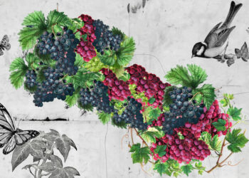 Reviving Armenia’s Viticulture Heritage