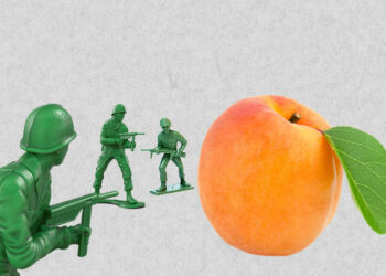 “Apricot War” and Beyond: What Recent Events in Russia Tell Us About Armenian Communities