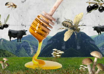 Exotic Tavush, Where They Raise Black Angus, Grow Olives and Make Drinks From Honey