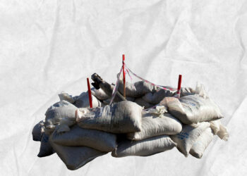 War, Nothing But War: The Virtue of Brute Force and the Shortcomings of Diplomacy