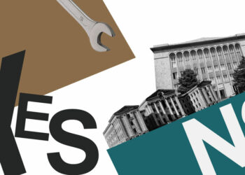 What Happened to the Constitutional Referendum?