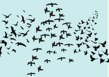 Diaspora Conceptualizations and the Realities of the Armenian Diaspora: Some Preliminary Observations