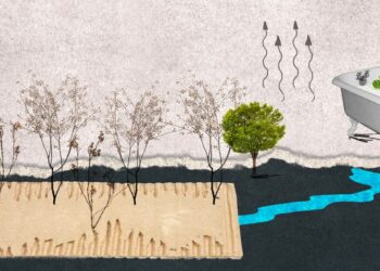 Irrigating Efficiently