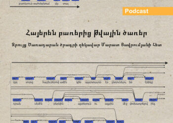 Understanding the Government Programme