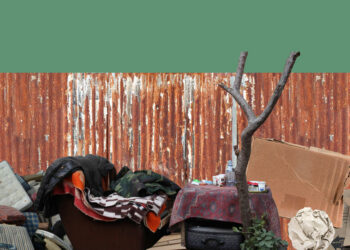 From Mental Illness to Homelessness