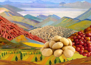 Global Pressures or Lack of Vision? Armenia in GMO Limbo