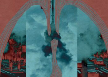 Struggling to Breathe: Public Transportation and the Air Pollution Crisis