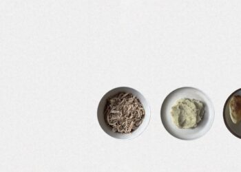 Snapshots From the Edge of Hunger