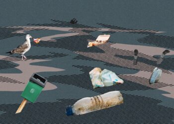 Resolving the Unresolved Issue of Garbage