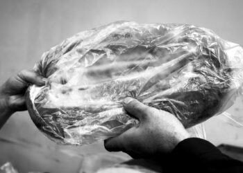 The Bread of the Blockade