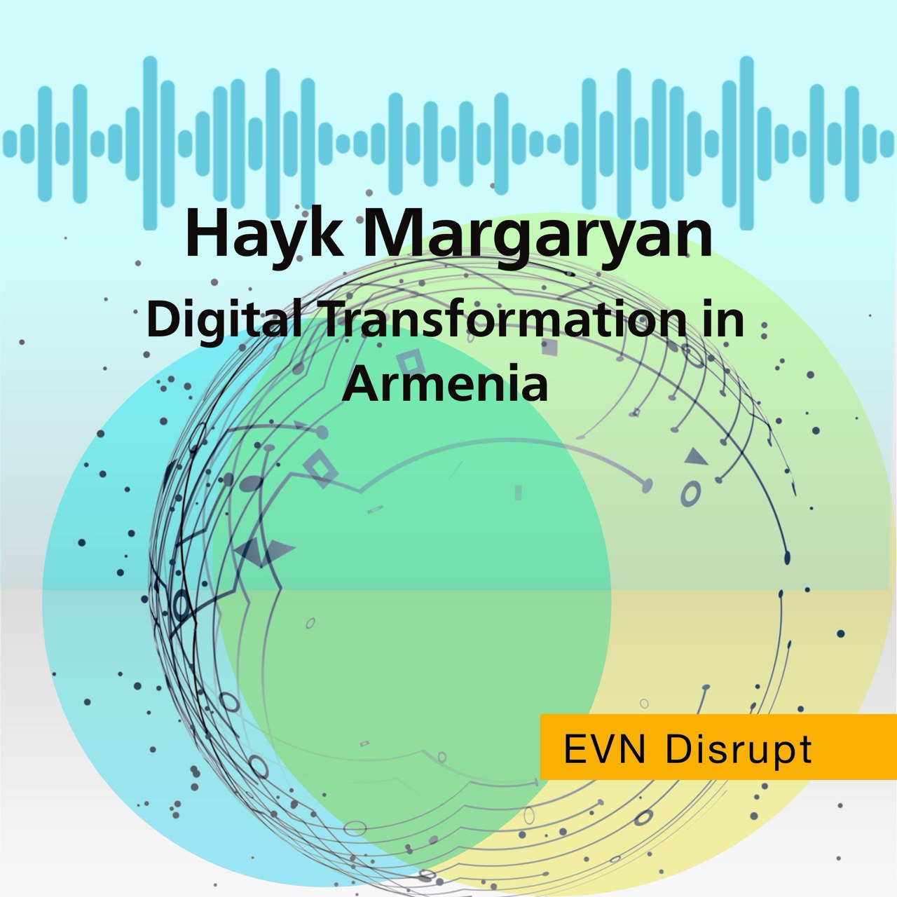 Hayk Margaryan: Digital Transformation in Armenia