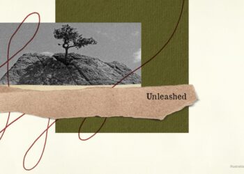 Home/Land, Sheila Paylan