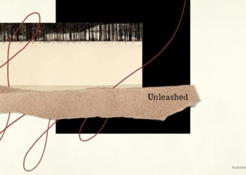 Less is More, Sheila Paylan
