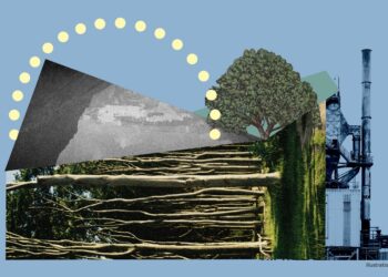 Gor Samvel Movsisyan, Under International Law Climate Is Changing in Armenia