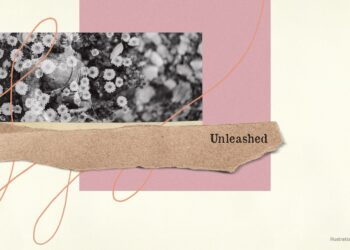 Sheila Paylan, Praise the Fuss