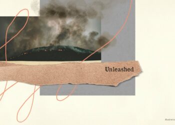 Fires and Fascists , Sheila Paylan