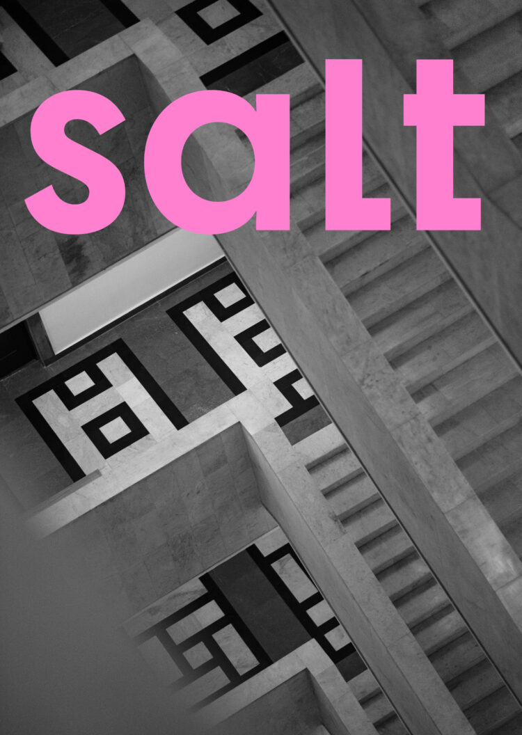 SALT Cover N6. jpg