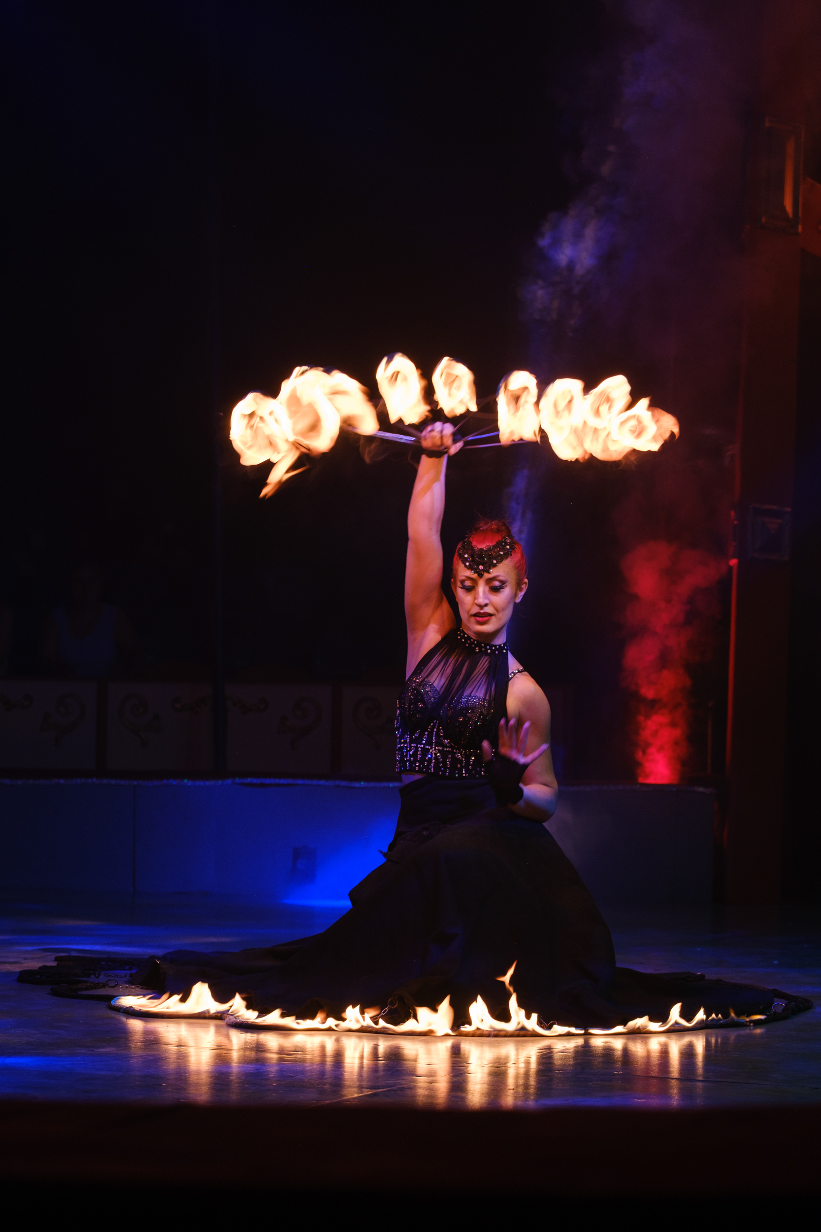 Circus 49