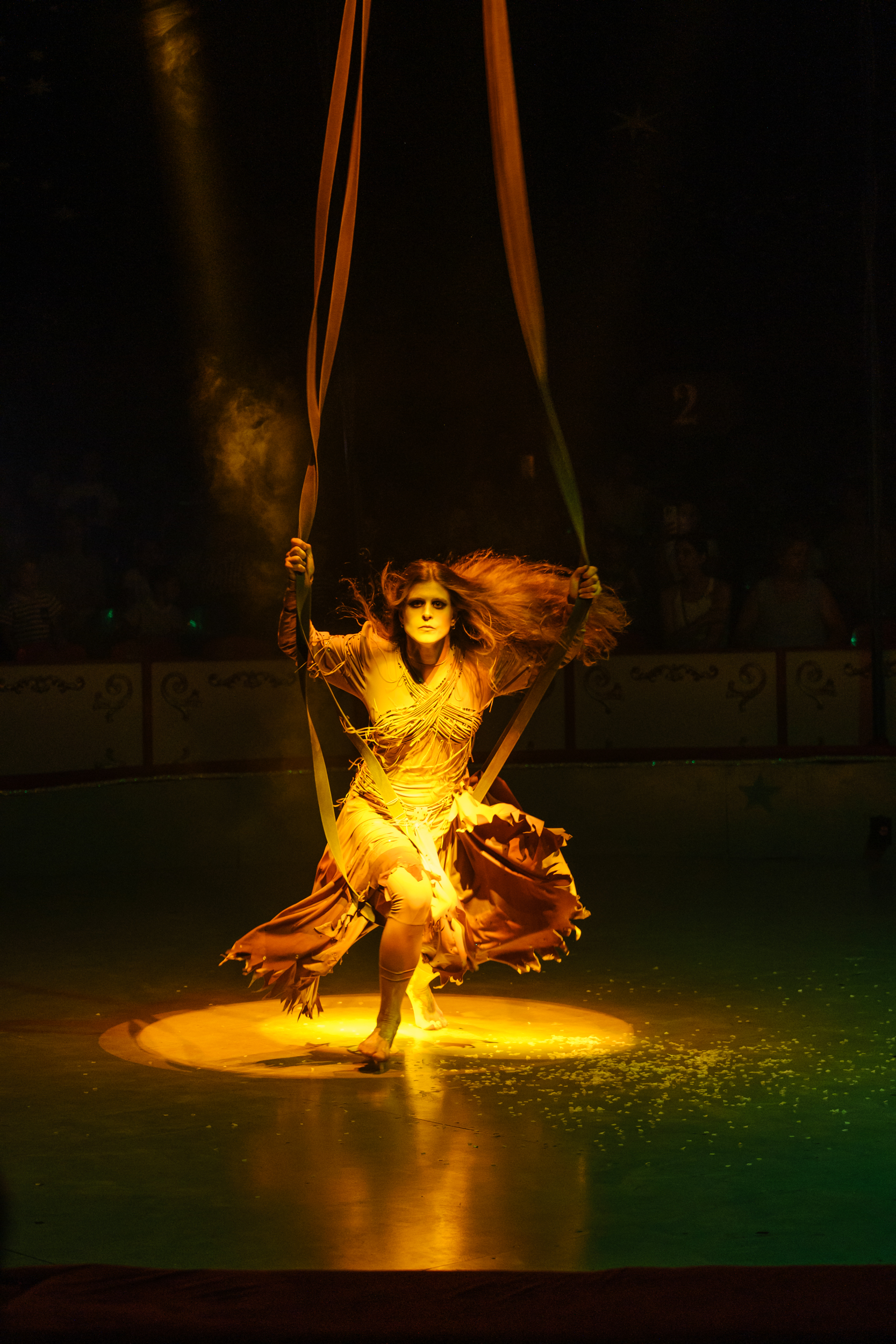 Circus 317