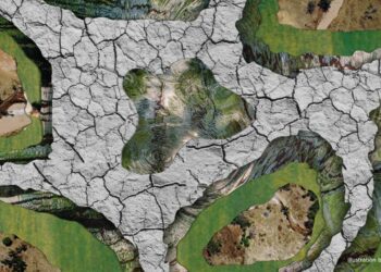 Maps Show a Forest, But Where Are the Trees?