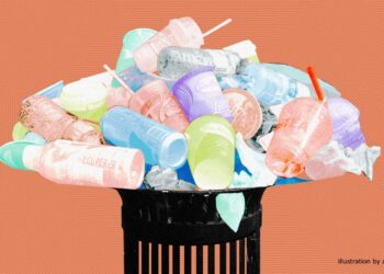 Greener, Better, Brighter: The Quiet Revolution