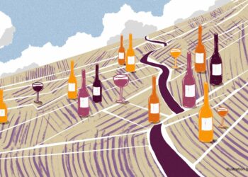 The Climate Is Changing, How Are Armenian Winemakers Adapting?