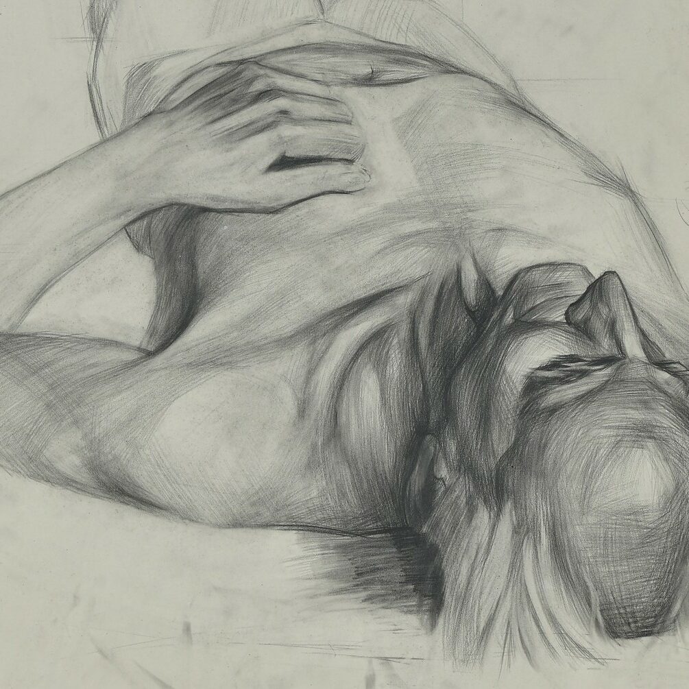 the body as a nude the body as a nude