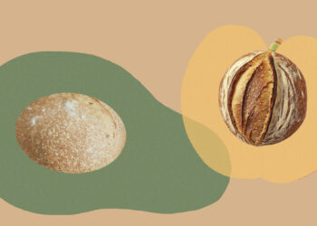 SALT Celiacs cover