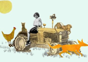 Nonny Hogrogian: Stealth Revolutionary