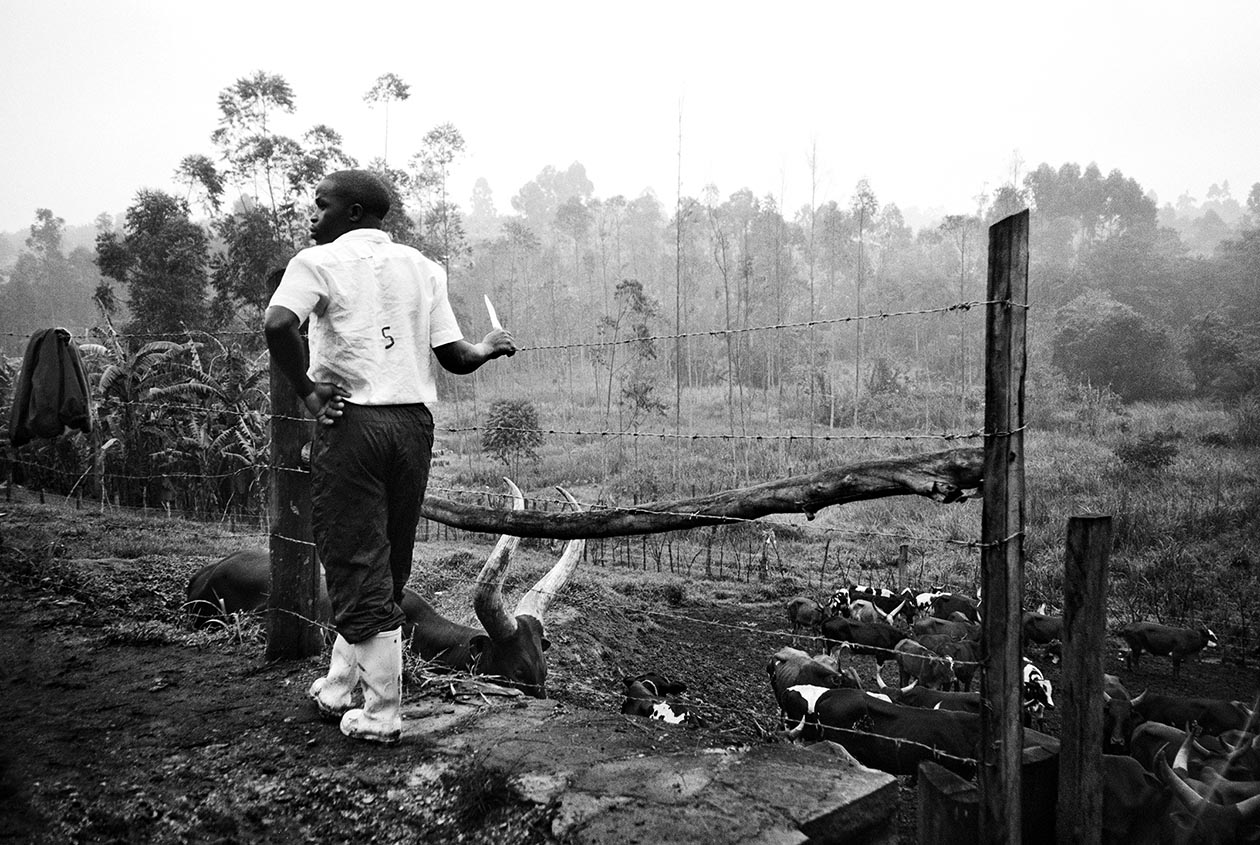 The Butcher, Fort Portal, Uganda_2019