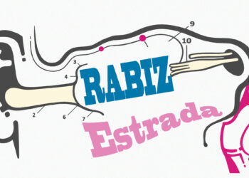 SALT RABIZ Final UPDATED