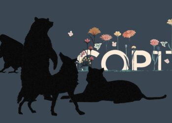 COP 17-ի շեմին Հայաստանը դեռ վայրի կենդանիների «լվացքատուն»