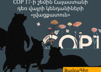Ձայնագիր․ COP 17-ի շեմին Հայաստանը դեռ վայրի կենդանիների «լվացքատուն»