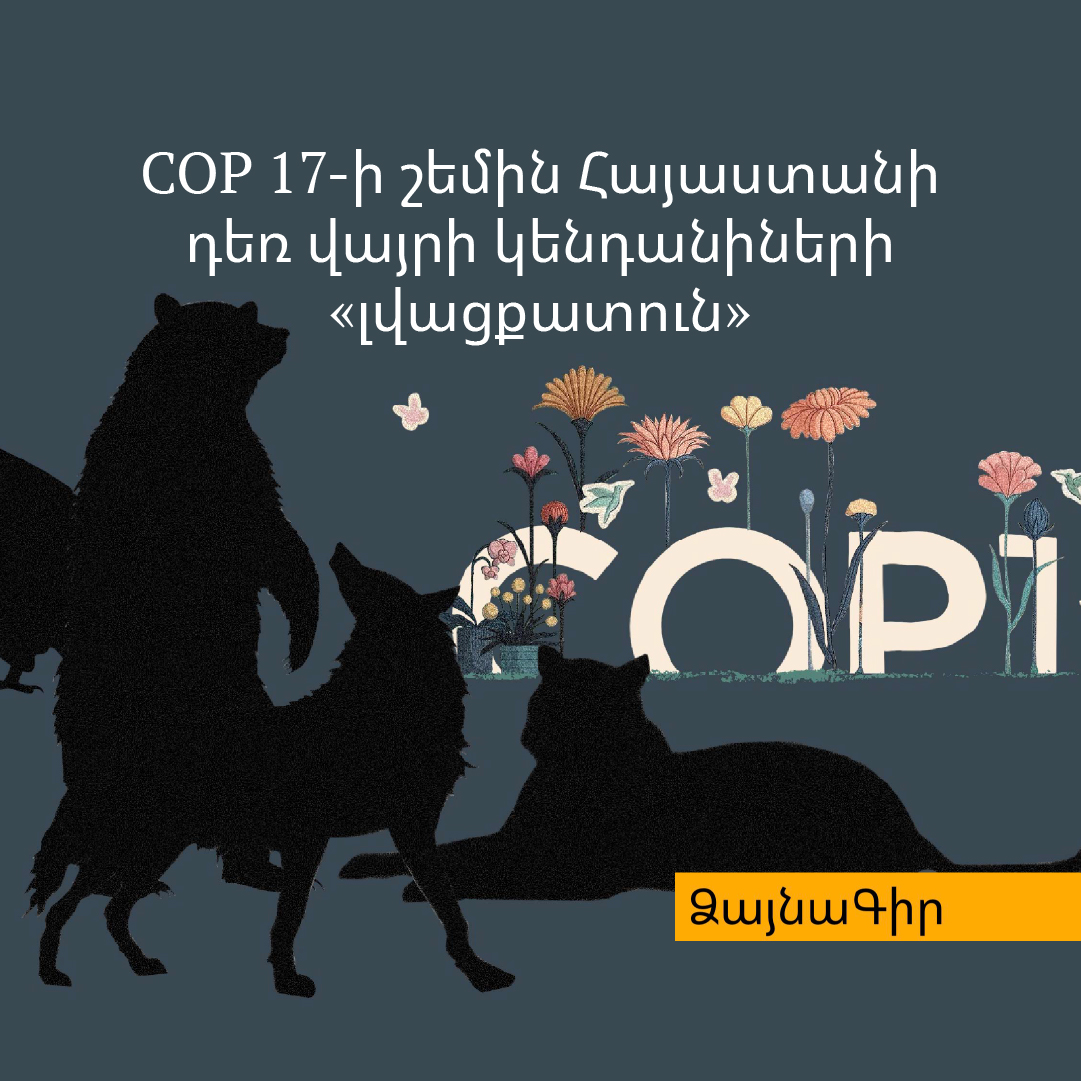 Ձայնագիր․ COP 17-ի շեմին Հայաստանը դեռ վայրի կենդանիների «լվացքատուն»