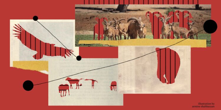 Armenia’s Wildlife Exports