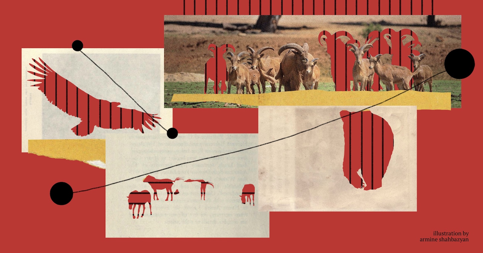 Armenia’s Wildlife Exports