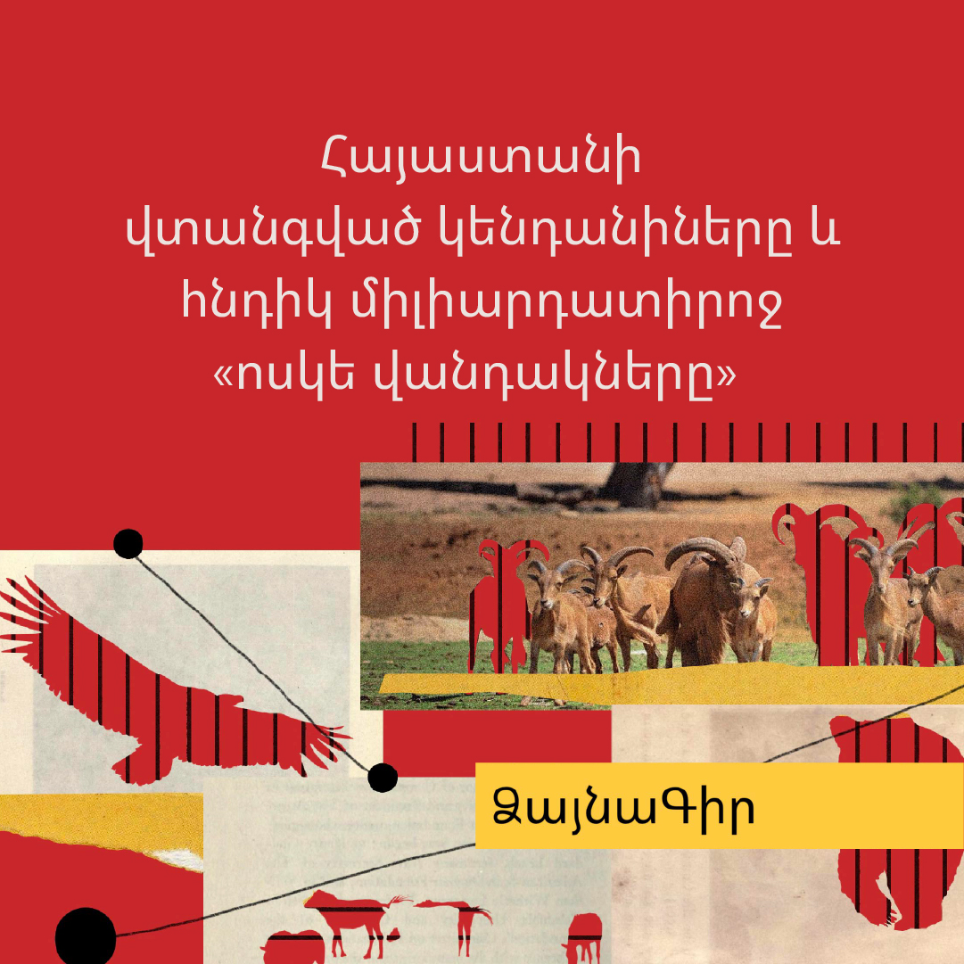 Ձայնագիր. Հայաստանի վտանգված կենդանիները և հնդիկ միլիարդատիրոջ «ոսկե վանդակները»
