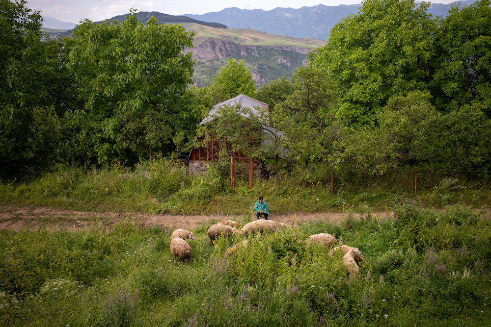 Along the New National Trail 4