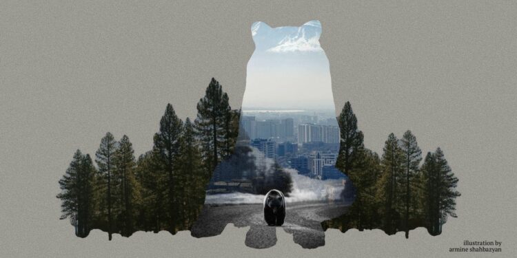 Human-Bear or Human-Human Conflict? COP17 and Armenia’s Race to Act