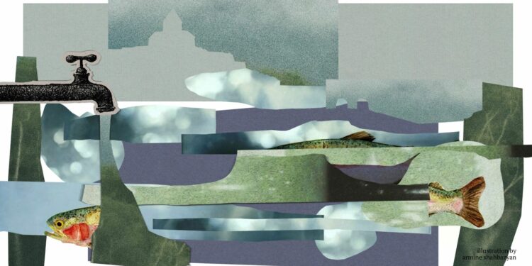 Lake Sevan’s Peril: Can a $270 Million Plan Turn the Tide?