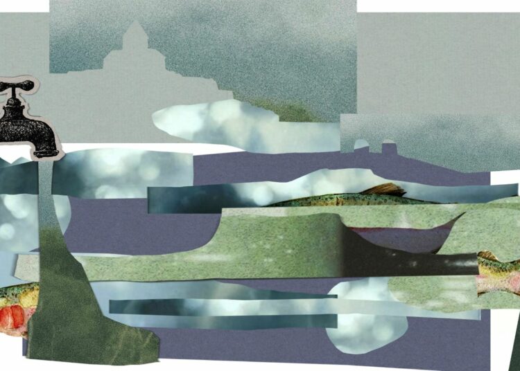 Lake Sevan’s Peril: Can a $270 Million Plan Turn the Tide?