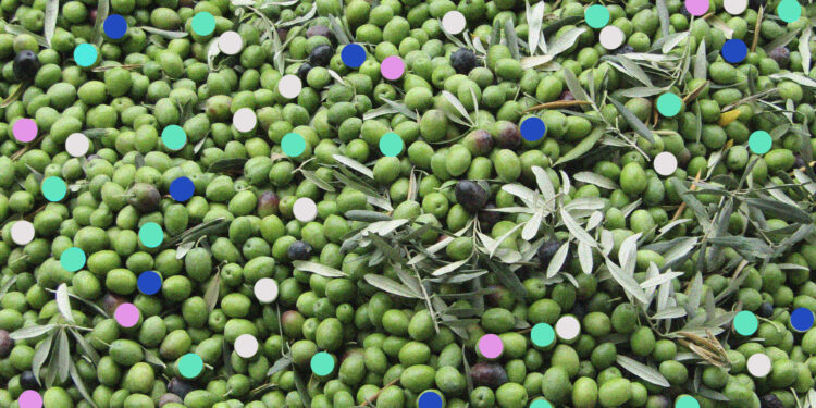 What’s Growing in Armenia? Olives, Kiwis and More