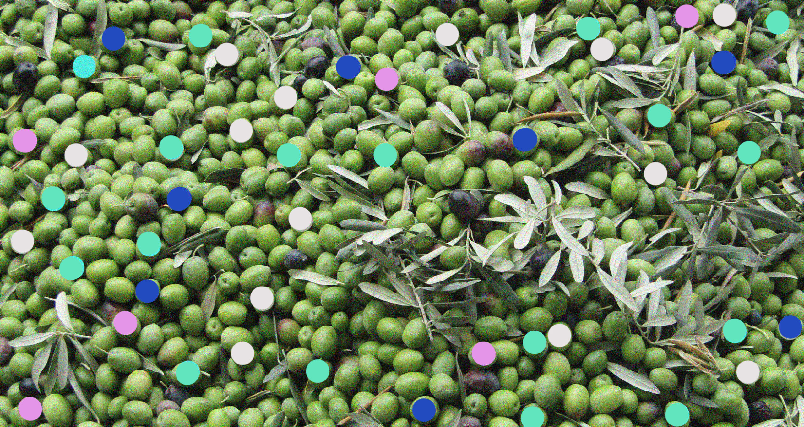 What’s Growing in Armenia? Olives, Kiwis and More